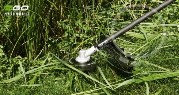 Maîtriser les ronces et autres mauvaises herbes tenaces